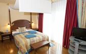 Туры в отель Hotel Henry