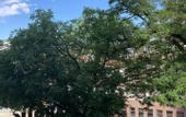 Туры в отель unique by ATLANTIC Hotels Bremen