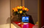 Туры в отель Montivo Hotel Koln-Bonn Airport