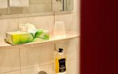 Туры в отель Montivo Hotel Koln-Bonn Airport