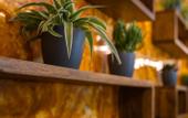 Туры в отель Hotel Unique Pearl