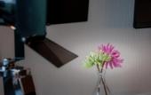 Туры в отель Kino - Hotel Meyer
