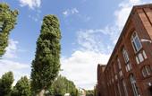 Туры в отель Motel Home Wittenau