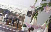 Туры в отель Hotel Jerez & Spa