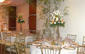Туры в отель Hotel Century Plaza