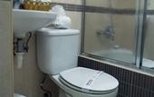 Туры в отель Hotel Century Plaza