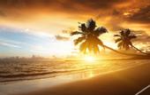 Туры в отель Hotel Tronco Inc