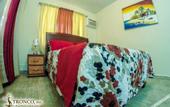 Туры в отель Hotel Tronco Inc