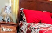 Туры в отель Hotel Tronco Inc