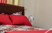 Туры в отель Hotel Tronco Inc