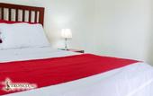 Туры в отель Hotel Tronco Inc