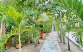 Туры в отель Green Oasis Hotel