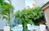 Туры в отель Green Oasis Hotel