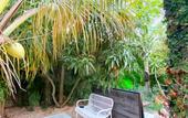 Туры в отель Green Oasis Hotel