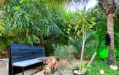 Туры в отель Green Oasis Hotel