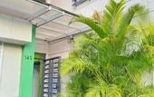 Туры в отель Green Oasis Hotel