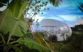 Туры в отель Green Land Bubble Glamping