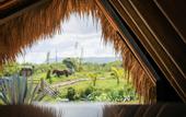 Туры в отель Green Land Bubble Glamping
