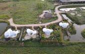 Туры в отель Green Land Bubble Glamping