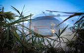 Туры в отель Green Land Bubble Glamping