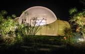 Туры в отель Green Land Bubble Glamping