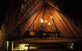Туры в отель Green Land Bubble Glamping