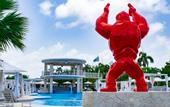 Туры в отель Playa Palmera Beach Resort