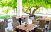 Туры в отель Playa Palmera Beach Resort