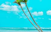 Туры в отель Playa Palmera Beach Resort