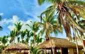 Туры в отель Playa Palmera Beach Resort