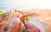 Туры в отель Playa Palmera Beach Resort