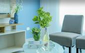 Туры в отель Playa Palmera Beach Resort