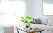Туры в отель Playa Palmera Beach Resort