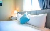 Туры в отель Playa Palmera Beach Resort