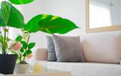 Туры в отель Playa Palmera Beach Resort