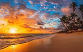Туры в отель Playa Palmera Beach Resort