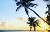 Туры в отель Playa Palmera Beach Resort