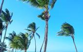 Туры в отель Playa Palmera Beach Resort