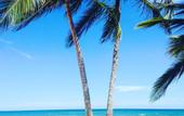 Туры в отель Playa Palmera Beach Resort