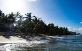 Туры в отель Playa Palmera Beach Resort