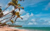 Туры в отель Playa Palmera Beach Resort
