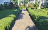 Туры в отель Hotel Bahia Punta Bonita