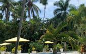 Туры в отель Hotel Bahia Punta Bonita