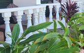 Туры в отель Hotel Bahia Punta Bonita