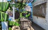 Туры в отель Saona Lodge