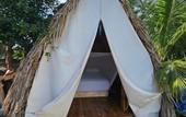 Туры в отель Saona Lodge