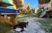 Туры в отель Saona Lodge