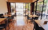 Туры в отель Hotel Plaza Kavia