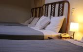 Туры в отель Hotel Plaza Kavia