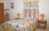 Туры в отель Hotel Plaza Kavia